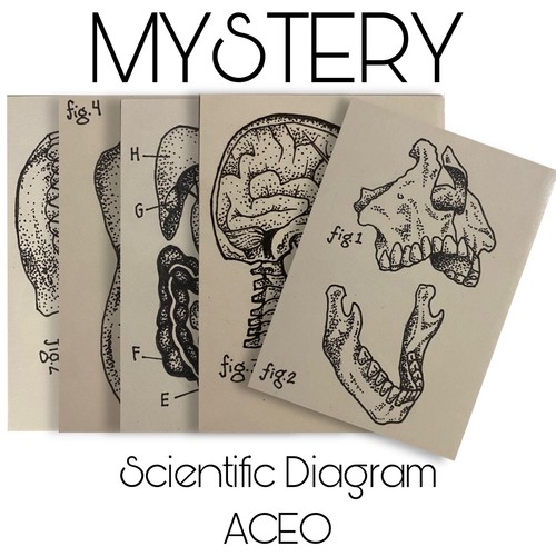 Aceo mystery hand drawn - hand,