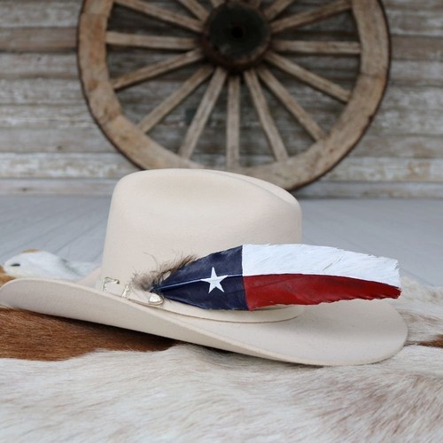 Texas flag painted turkey hat - texas,