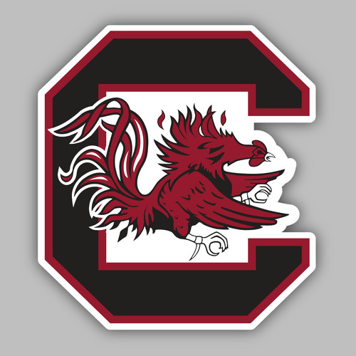 University south carolina - south,