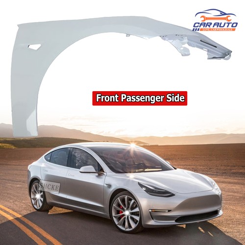 Painted fender for tesla - painted,