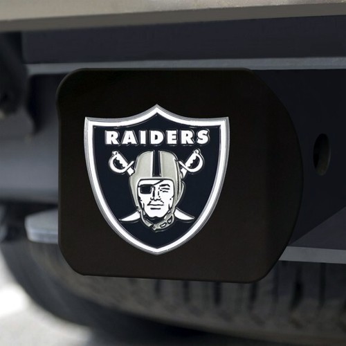 Las vegas raiders painted - vegas,
