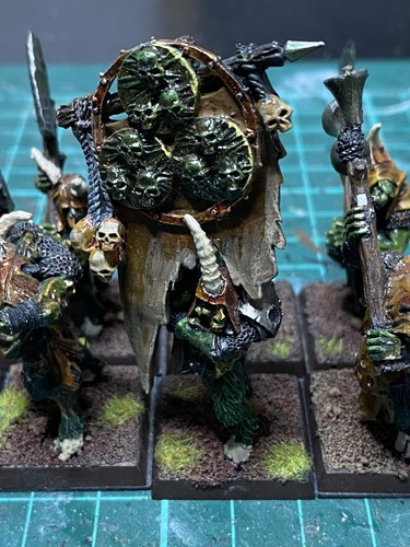 Pestigors warhammer the - pestigors,